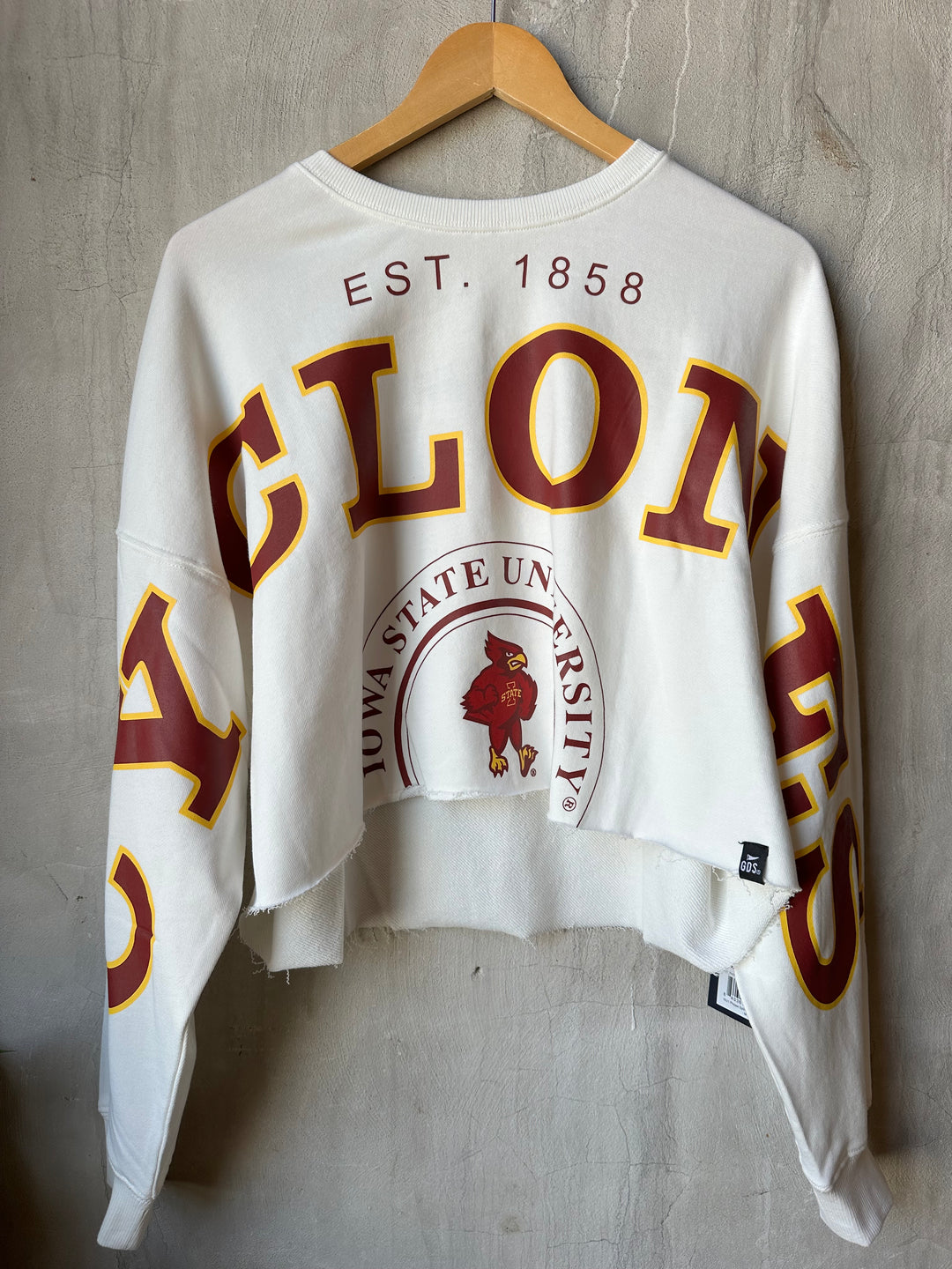 Iowa State Perkins Chenille Cropped Longsleeve