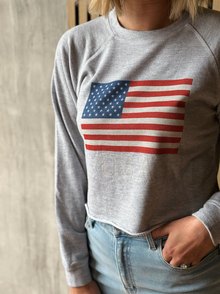 Person wearing a gray sweatshirt with an American flag design.