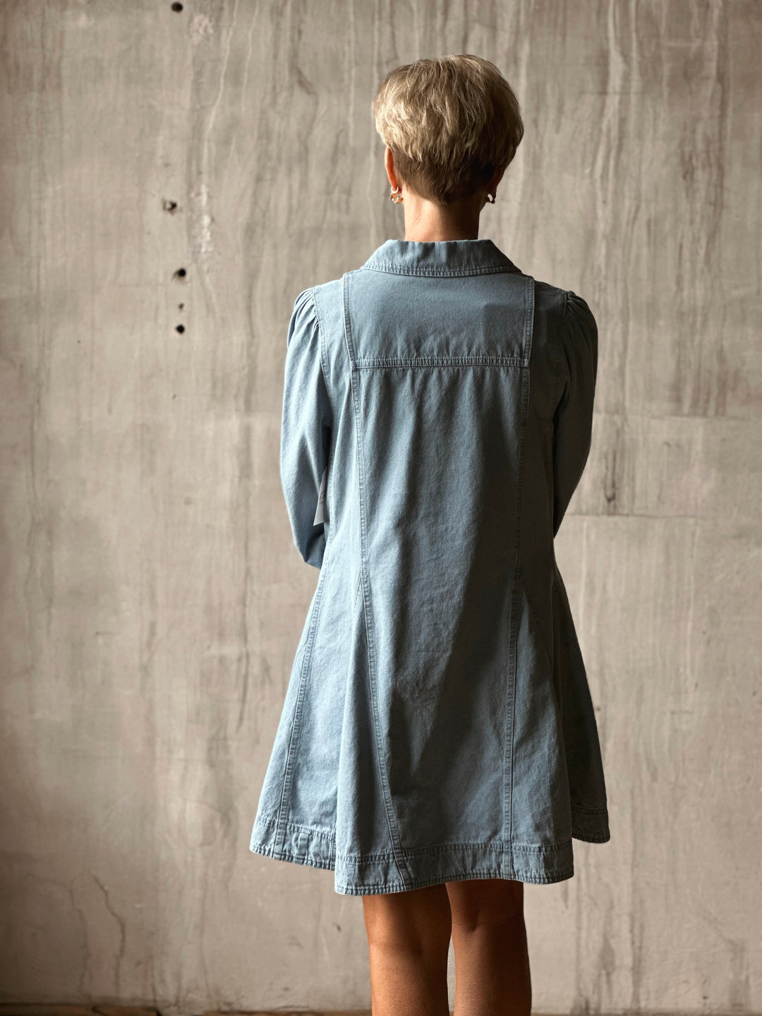 Carper Denim Dress